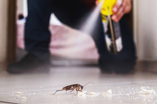 Best Best Pest Control Companies  in South Williamsport, PA